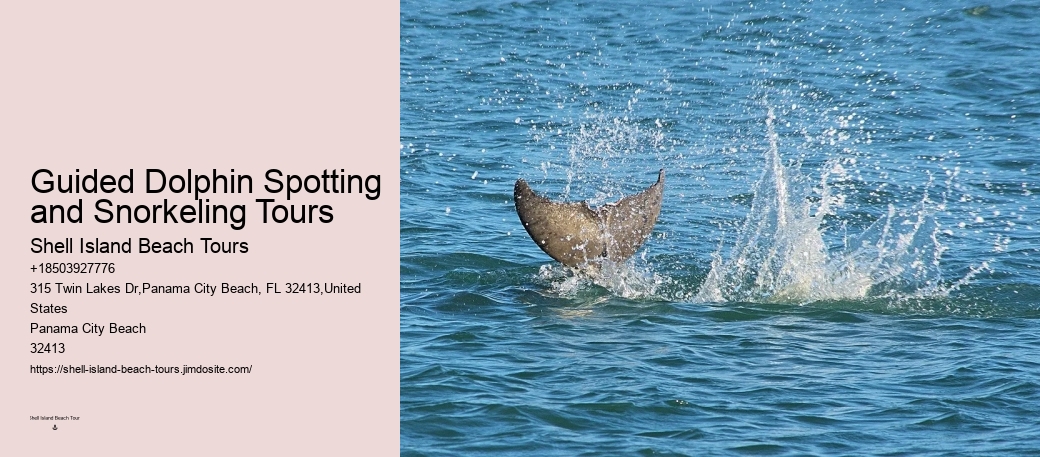 Best Dolphin Cruise Panama City Beach