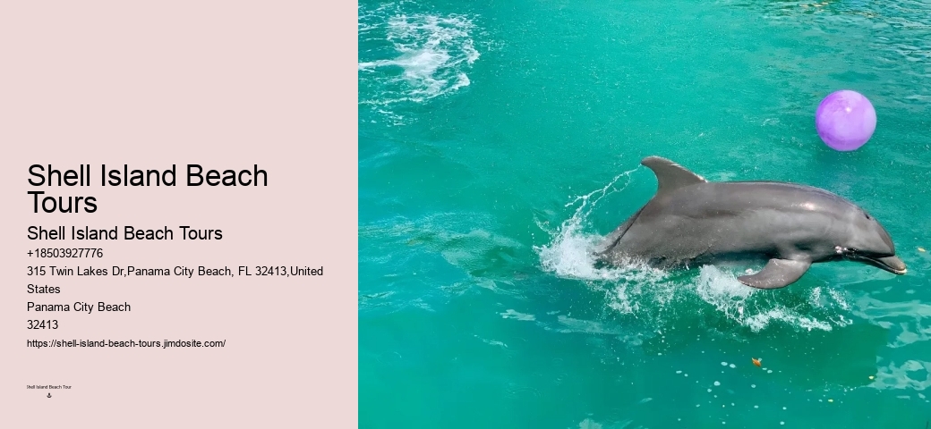 Wild Dolphin Tours Reviews