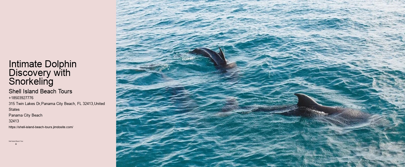 Do I need to bring my own snorkeling gear for a dolphin tour in Panama City Beach