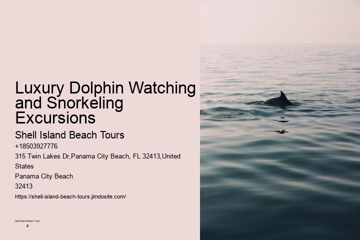 Baby Dolphin Facts