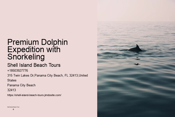 What Do I Need To Know Before Swimming With Dolphins
