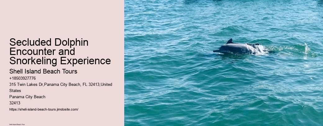 Secluded Dolphin Encounter and Snorkeling Experience