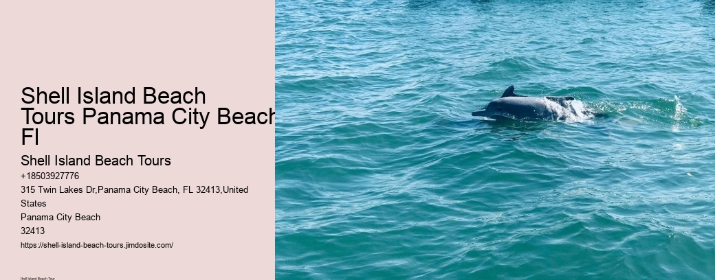 Shell Island Beach Tours Panama City Beach Fl