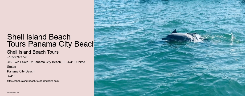 Shell Island Beach Tours Panama City Beach