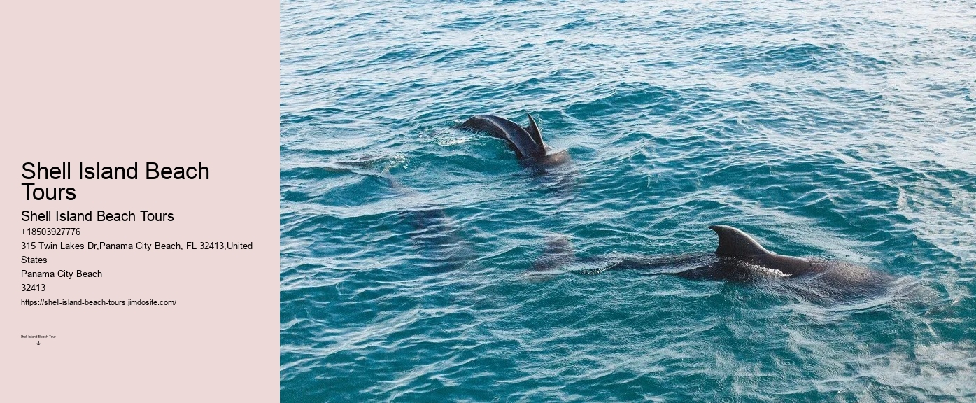 Panama City Beach Florida Boat Tours