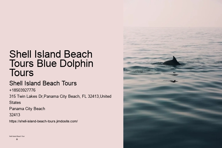 Panama City Beach Dolphin Cruises