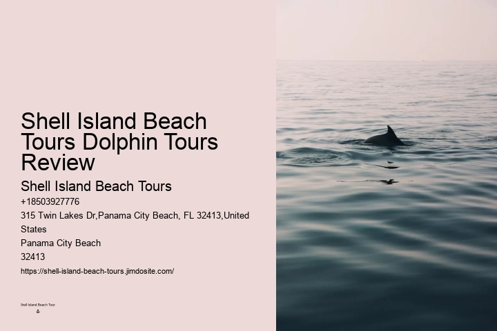 Six Reasons Why You Should Not Swim With Wild Spinner Dolphins