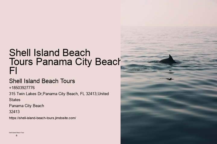 Private Dolphin Tours Panama City Beach