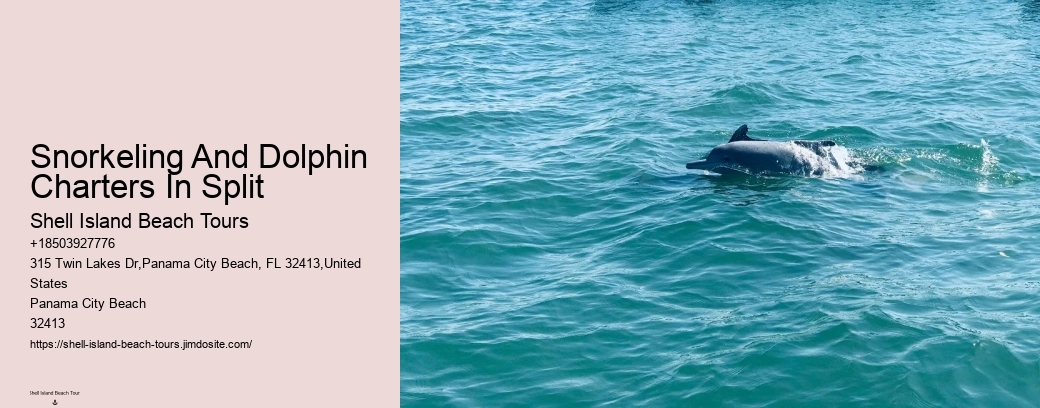 Snorkeling And Dolphin Charters In Split