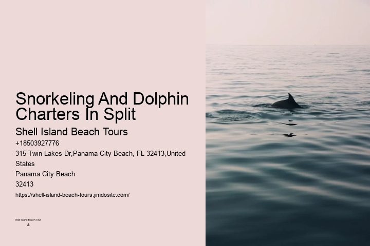 Dolphin Tours Rosemary Beach