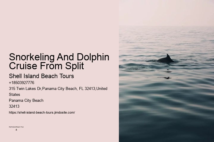 Do Dolphins Really Swim In Front Of Ships