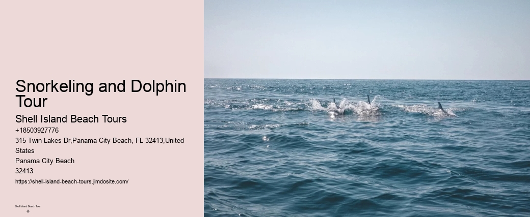 Do Dolphins Like Being Petted