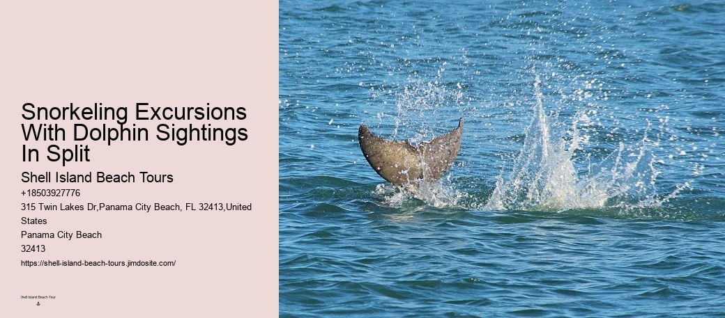 Split Adventure Tours Including Dolphin Watching And Snorkeling