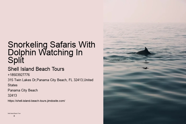 Come Swim With The Dolphins