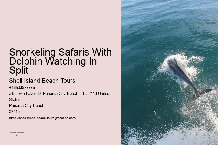 Are Dolphin Shows Ethical