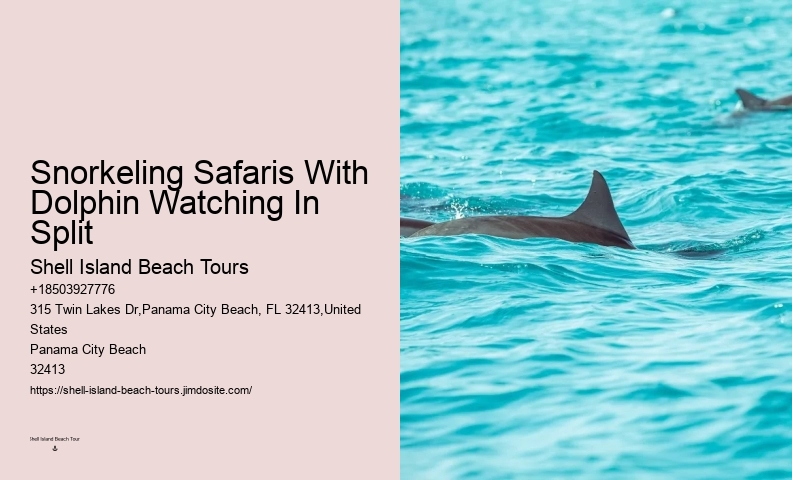 Split Snorkeling Expeditions With Dolphin Watching Included