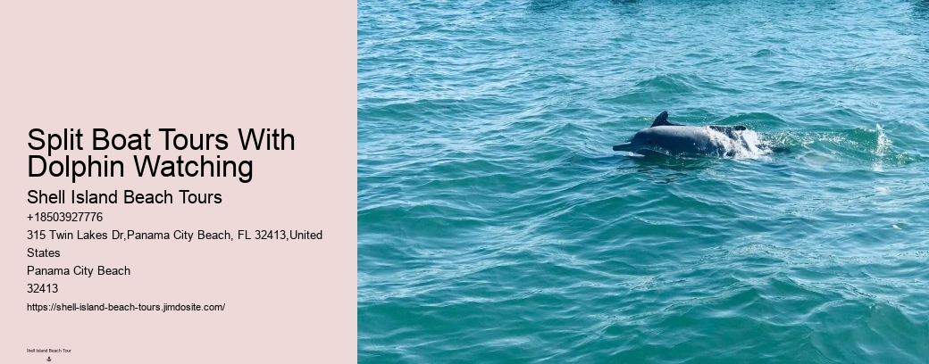 Split Boat Tours With Dolphin Watching