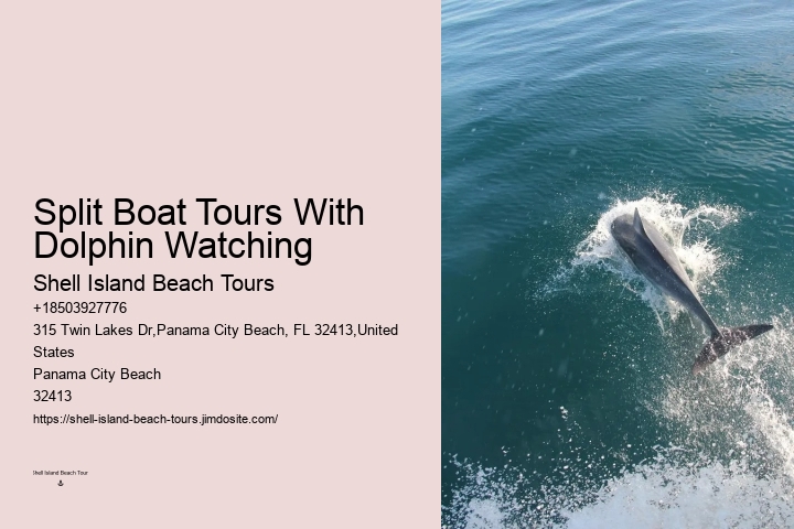 How To Catch Fish Even When Dolphins Are Around