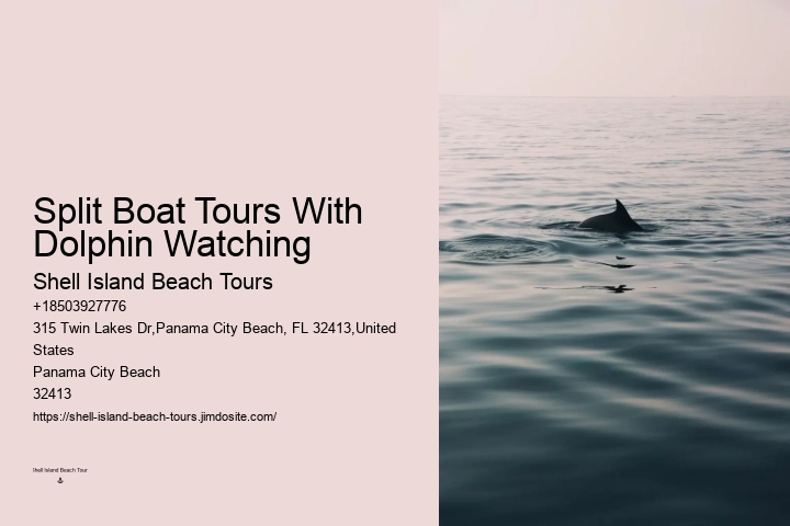 Do You Know Why Dolphins Swim Beside Ships