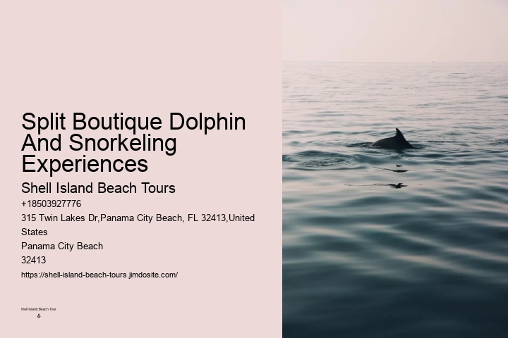How Do Dolphins Know Humans Are Pregnant