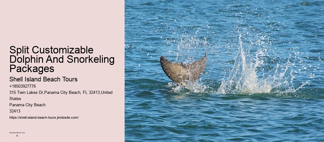 Split Customized Snorkeling And Dolphin Itineraries
