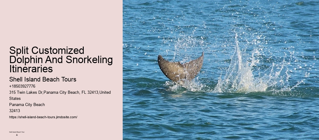 Why Do Dolphins Swim Close To Shore