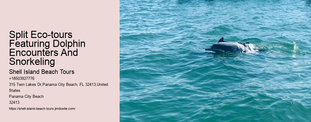 Split Eco-tours Featuring Dolphin Encounters And Snorkeling