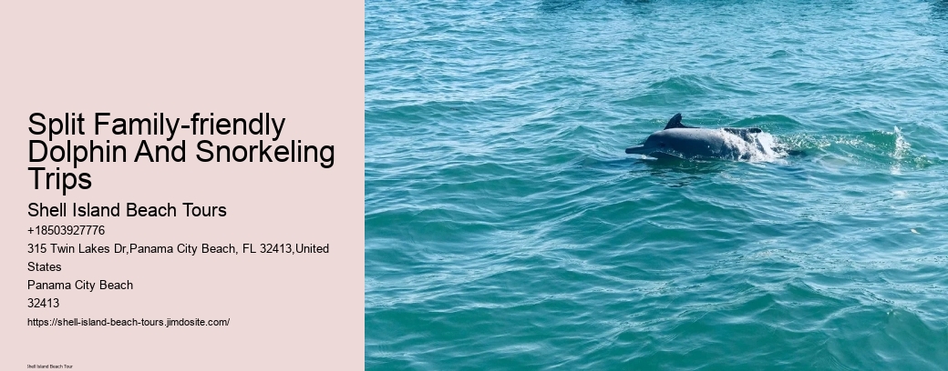 Split Family-friendly Dolphin And Snorkeling Trips
