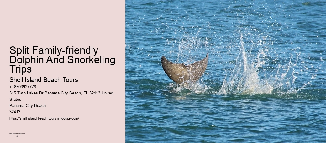 Dolphin Express