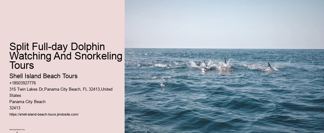Split Personalized Snorkeling And Dolphin Charters