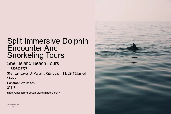 Are You Not Supposed To Touch Dolphins