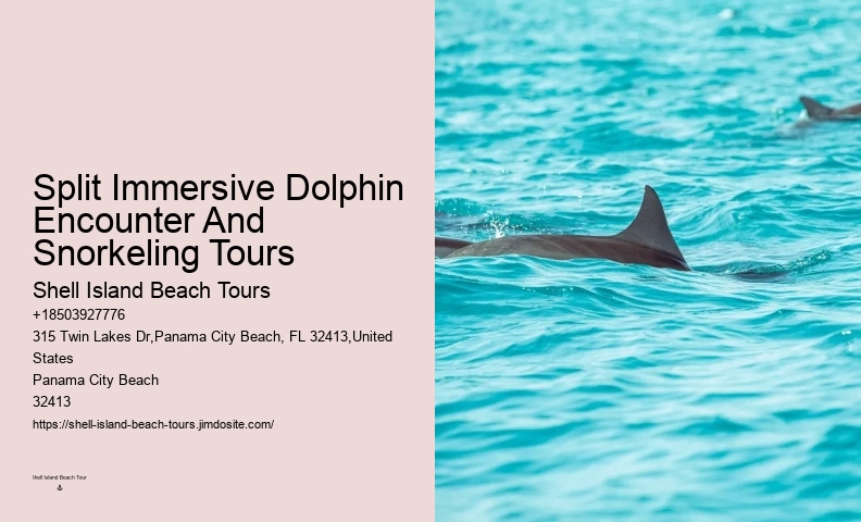 Why Can't You Touch Dolphins