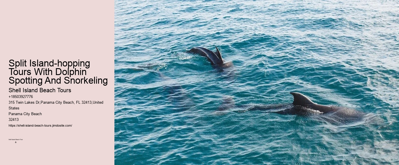 What Does It Mean When Dolphins Come Close To Shore