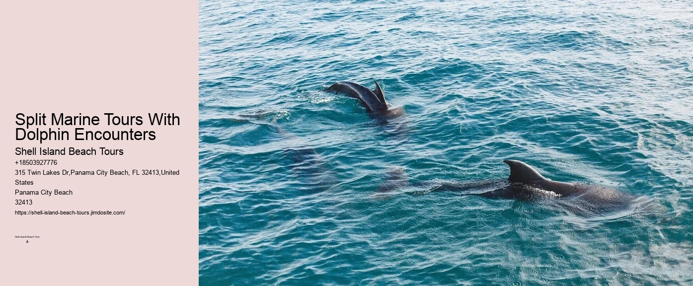 Why Do Dolphins And Orcas Sometimes Get Caught By Fish Hooks