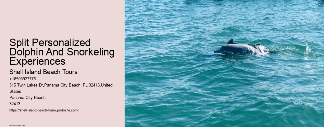 Split Personalized Dolphin And Snorkeling Experiences
