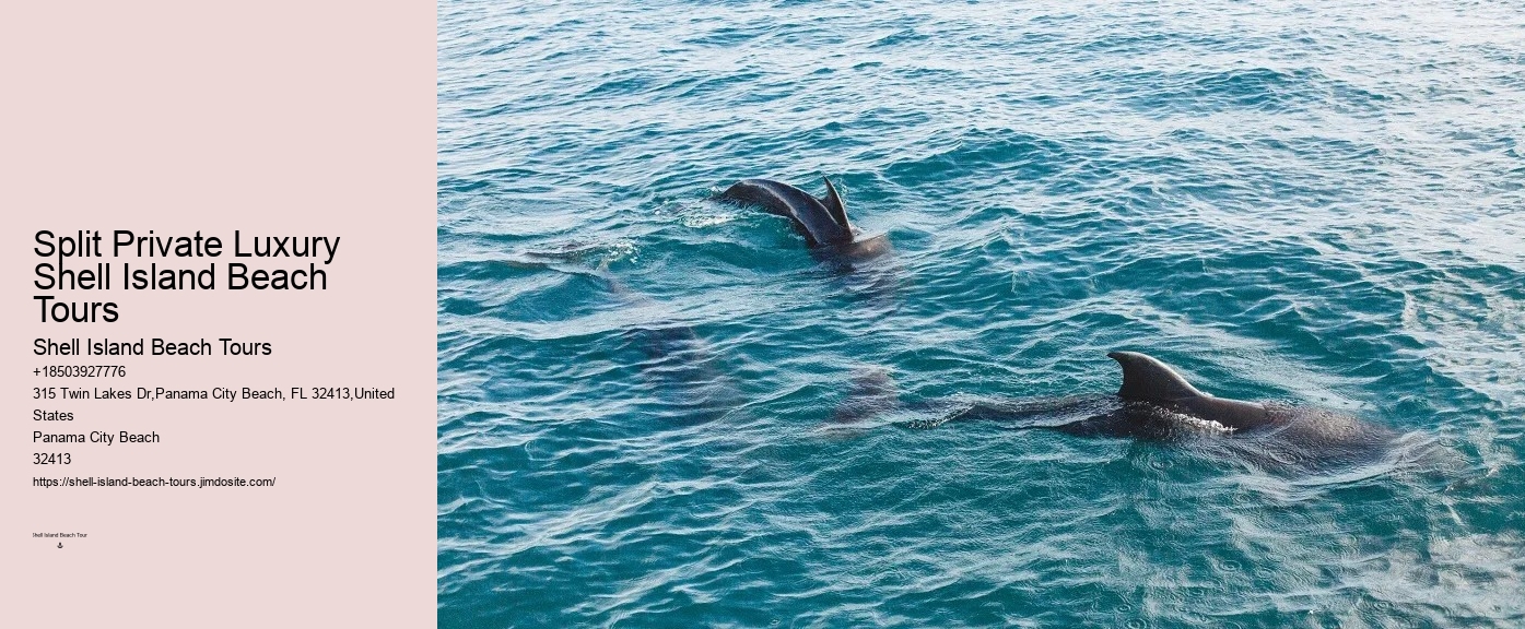 Can You Swim With Dolphins In Panama
