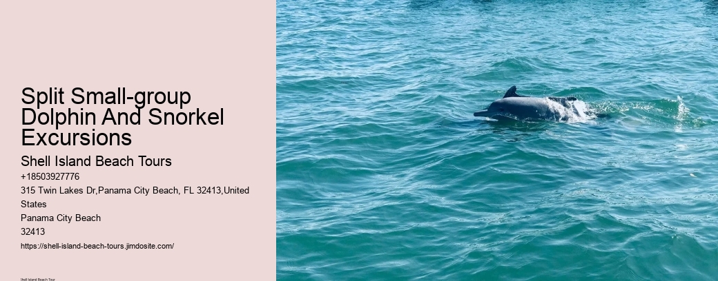 Split Small-group Dolphin And Snorkel Excursions
