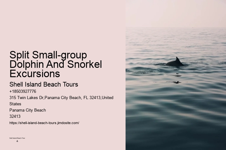 Where Can You Swim With The Dolphins In Panama City
