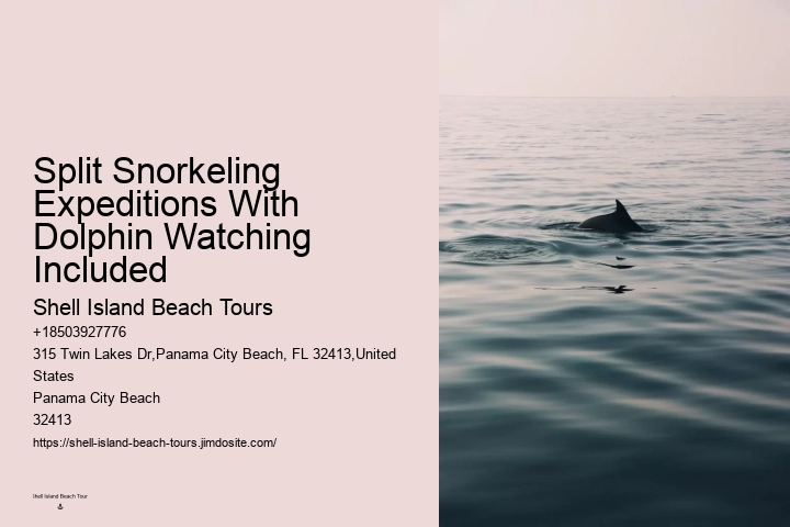 Dolphin Cruise Panama