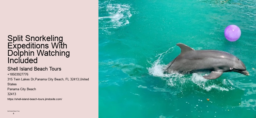 Behind The Smiles: The Suffering Endured By Captive Dolphins