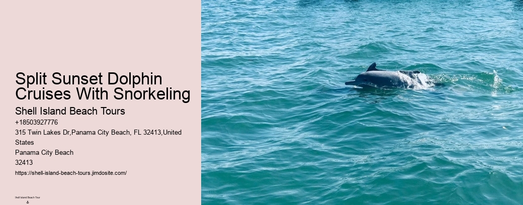 Split Sunset Dolphin Cruises With Snorkeling