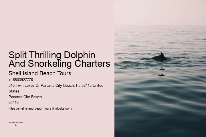Sunset Dolphin Tours Panama City Beach