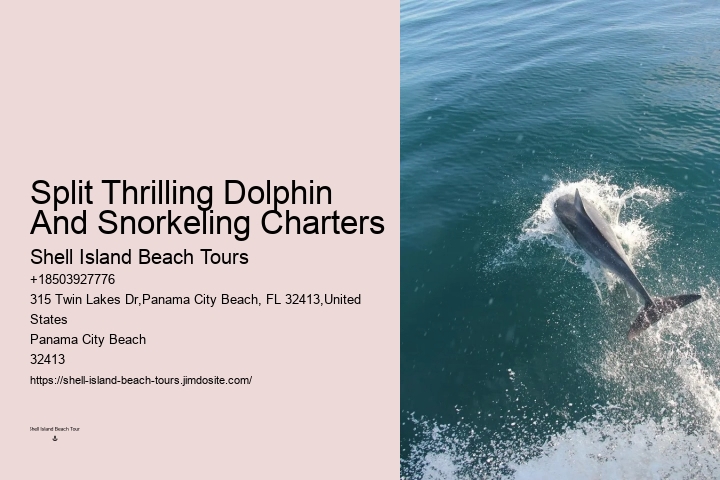 Panama City Beach dolphin watching voyages