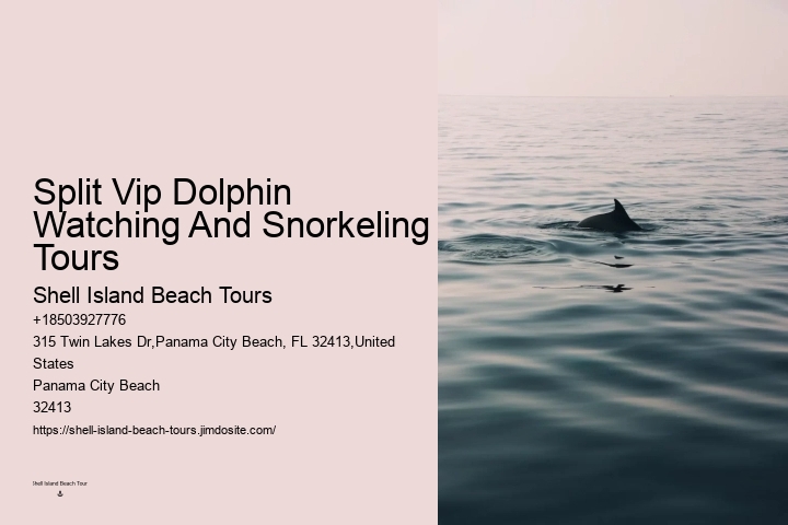 What Are The Risks Of Hugging Dolphins In The Wild
