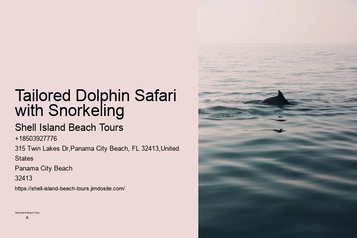 Split Unforgettable Snorkeling And Dolphin Trips