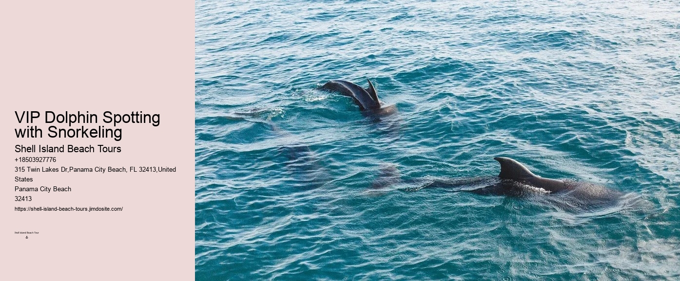 City Beach Dolphin Tours
