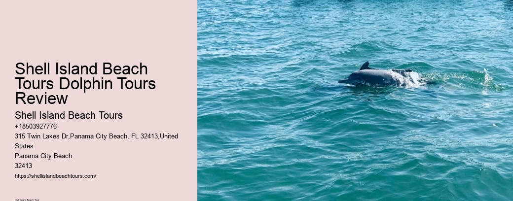 Shell Island Beach Tours Dolphin Tours Review
