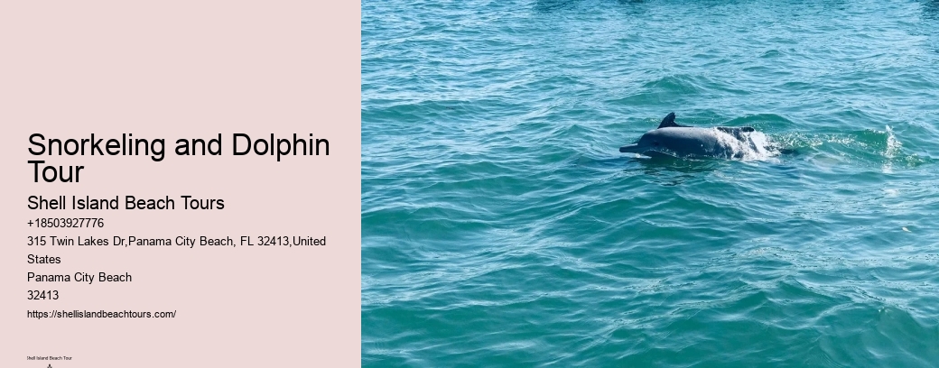 Snorkeling and Dolphin Tour