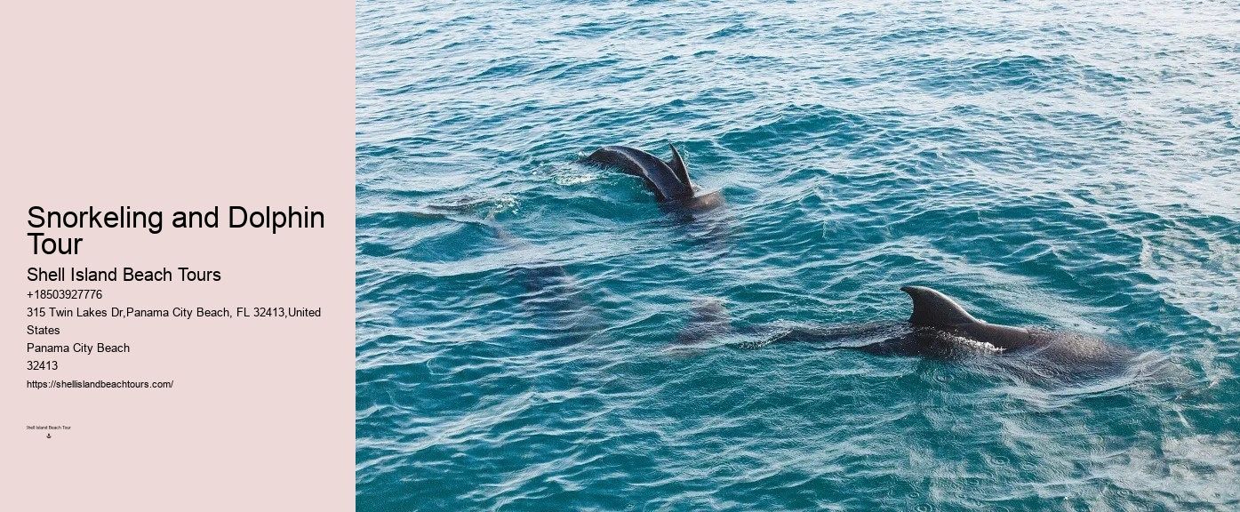Best Dolphin Cruise Panama City Beach