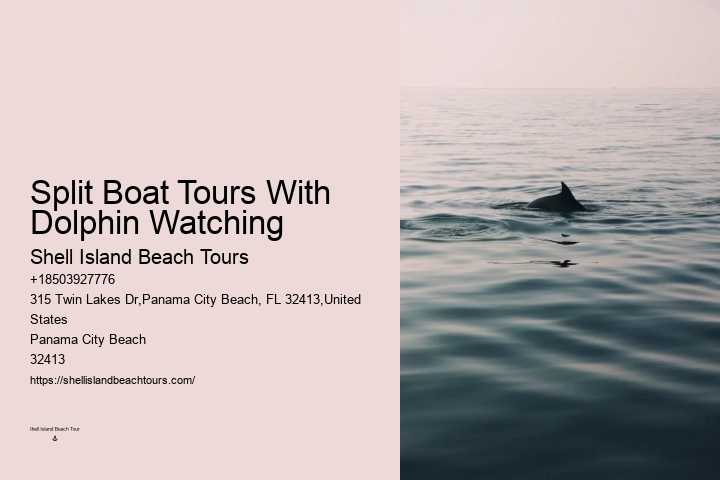 Dolphin sightseeing tours at Panama City Beach